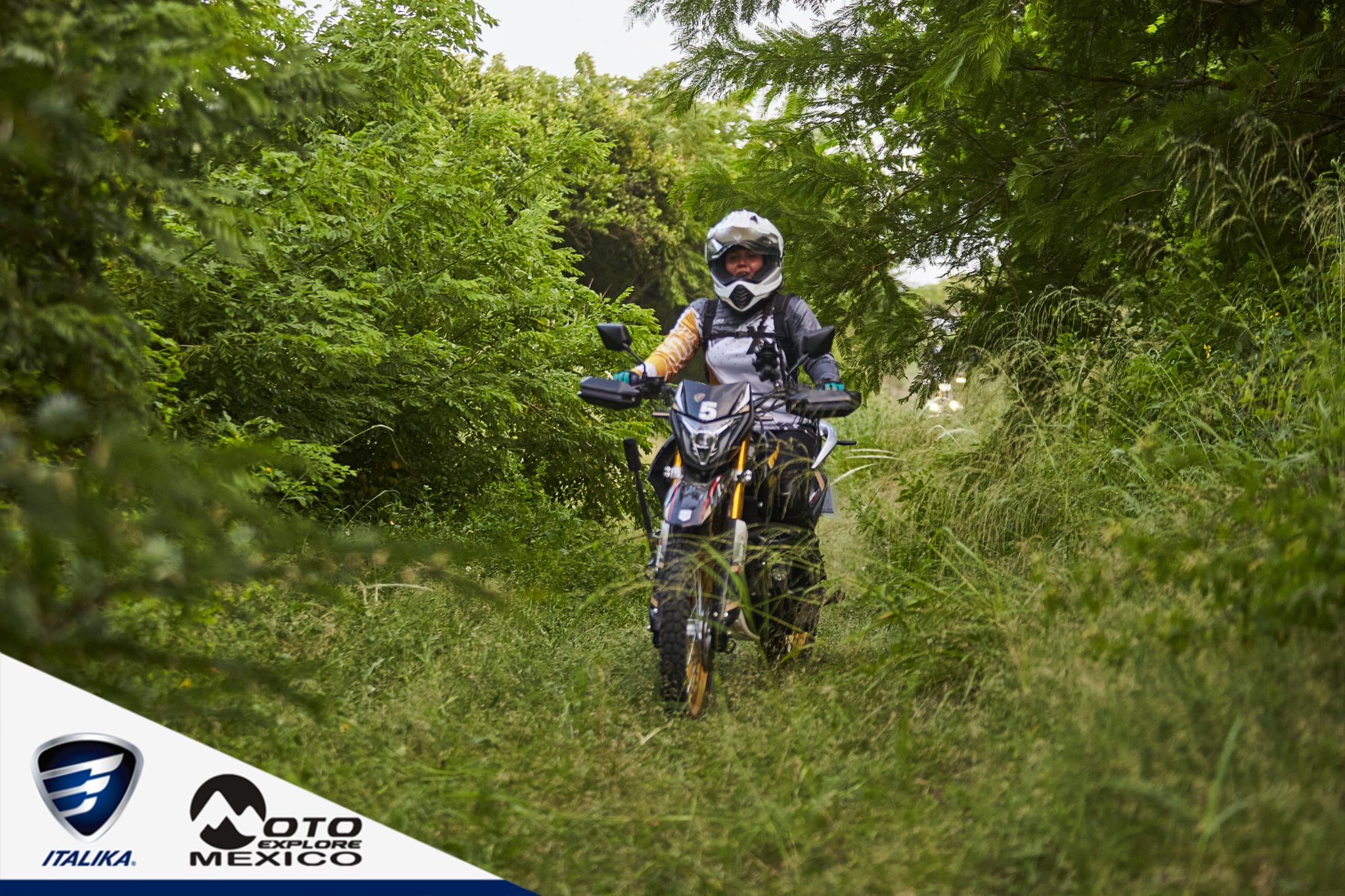 ITALIKA CHACHALACAS D1 383